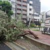 台風24号の自宅被害は気づかない場所にもあった